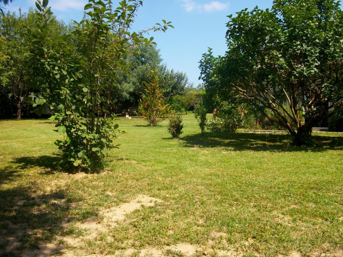 Domaine De Monein Bed & Breakfast Saint-André-de-Cubzac Dış mekan fotoğraf