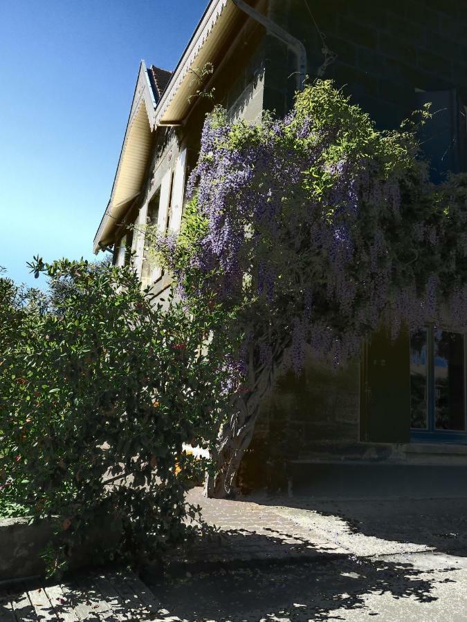 Domaine De Monein Bed & Breakfast Saint-André-de-Cubzac Dış mekan fotoğraf